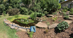 Aménagement jardin à Cabourg